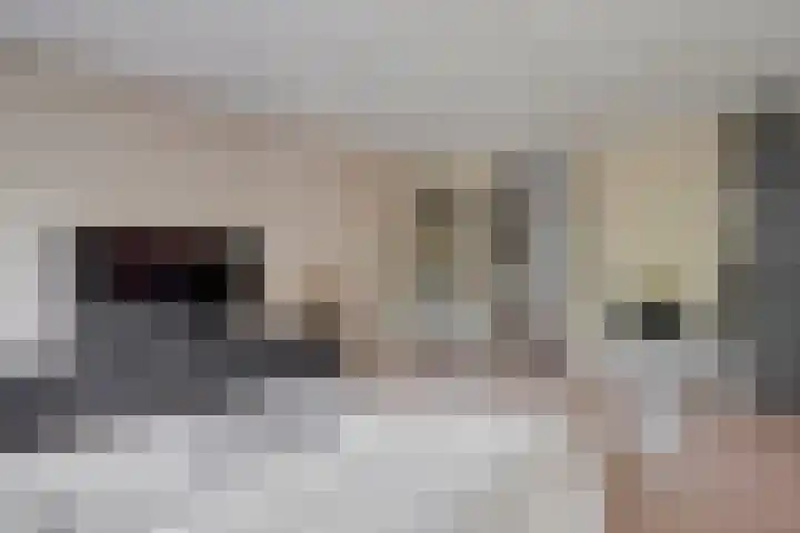 Paranádreef 41 Utrecht thumbnail 12