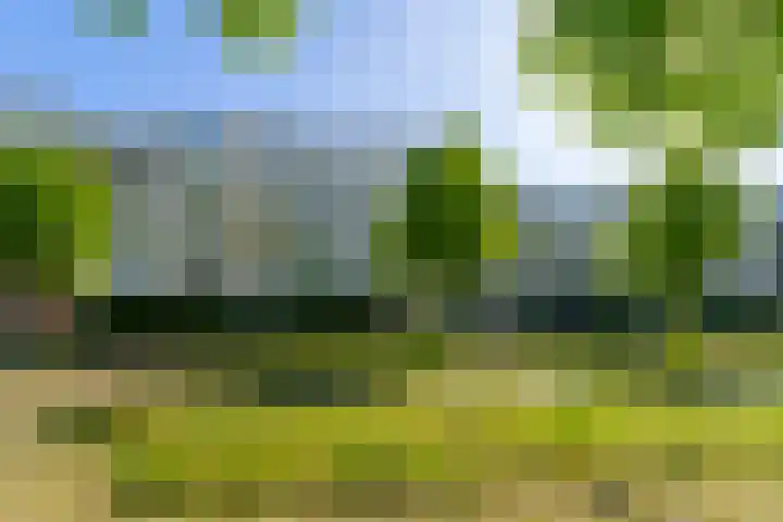 Paranádreef 41 Utrecht foto 2