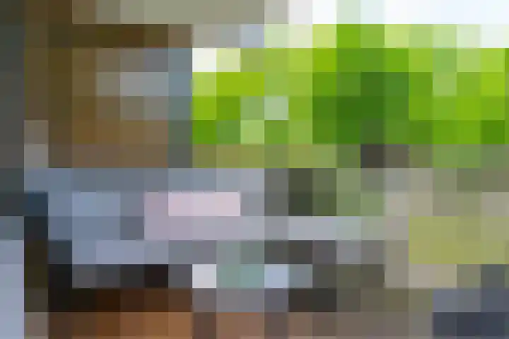 Paranádreef 41 Utrecht thumbnail 22