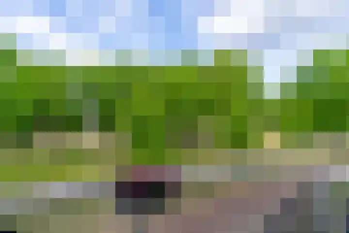 Paranádreef 41 Utrecht thumbnail 23