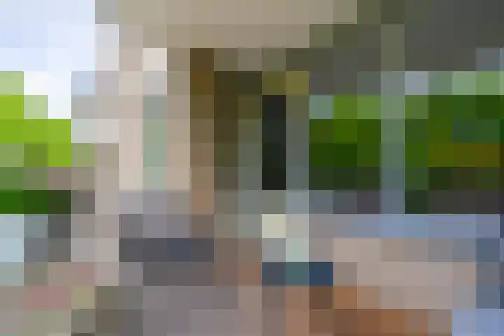 Paranádreef 41 Utrecht thumbnail 25