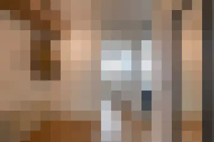 Paranádreef 41 Utrecht thumbnail 27