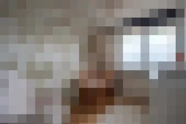 Paranádreef 41 Utrecht thumbnail 28