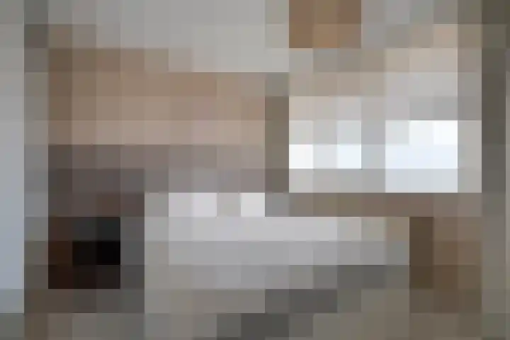 Paranádreef 41 Utrecht thumbnail 31