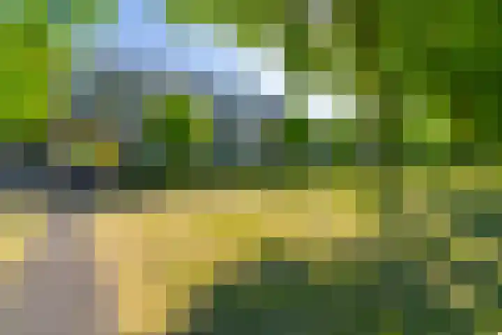 Paranádreef 41 Utrecht thumbnail 38