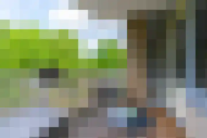 Paranádreef 41 Utrecht thumbnail 4