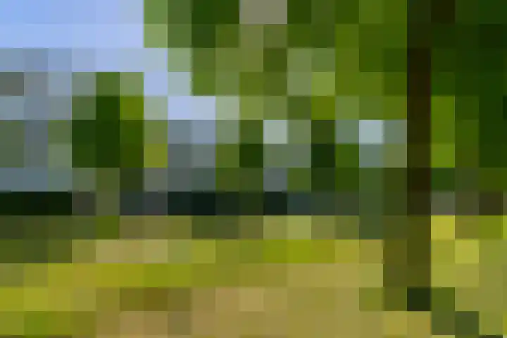 Paranádreef 41 Utrecht thumbnail 41