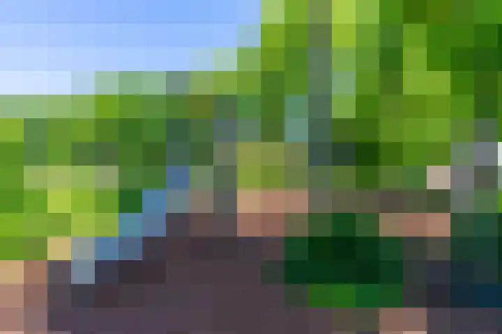 Paranádreef 41 Utrecht thumbnail 42