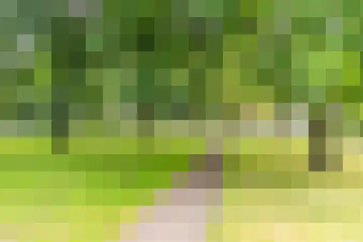 Paranádreef 41 Utrecht thumbnail 43