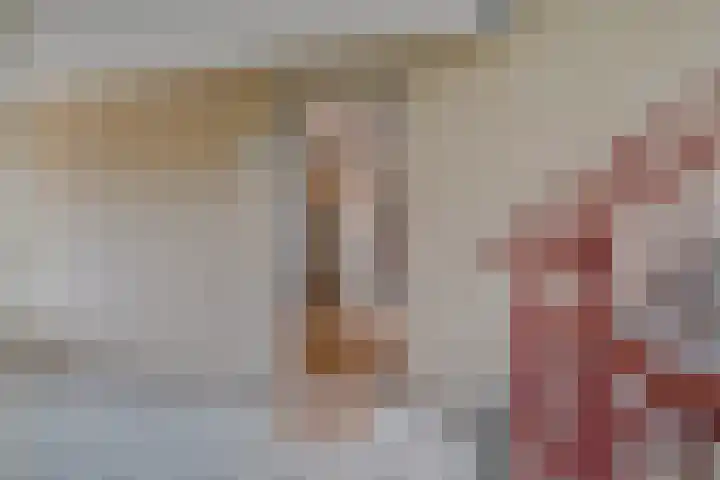 Paranádreef 41 Utrecht thumbnail 8