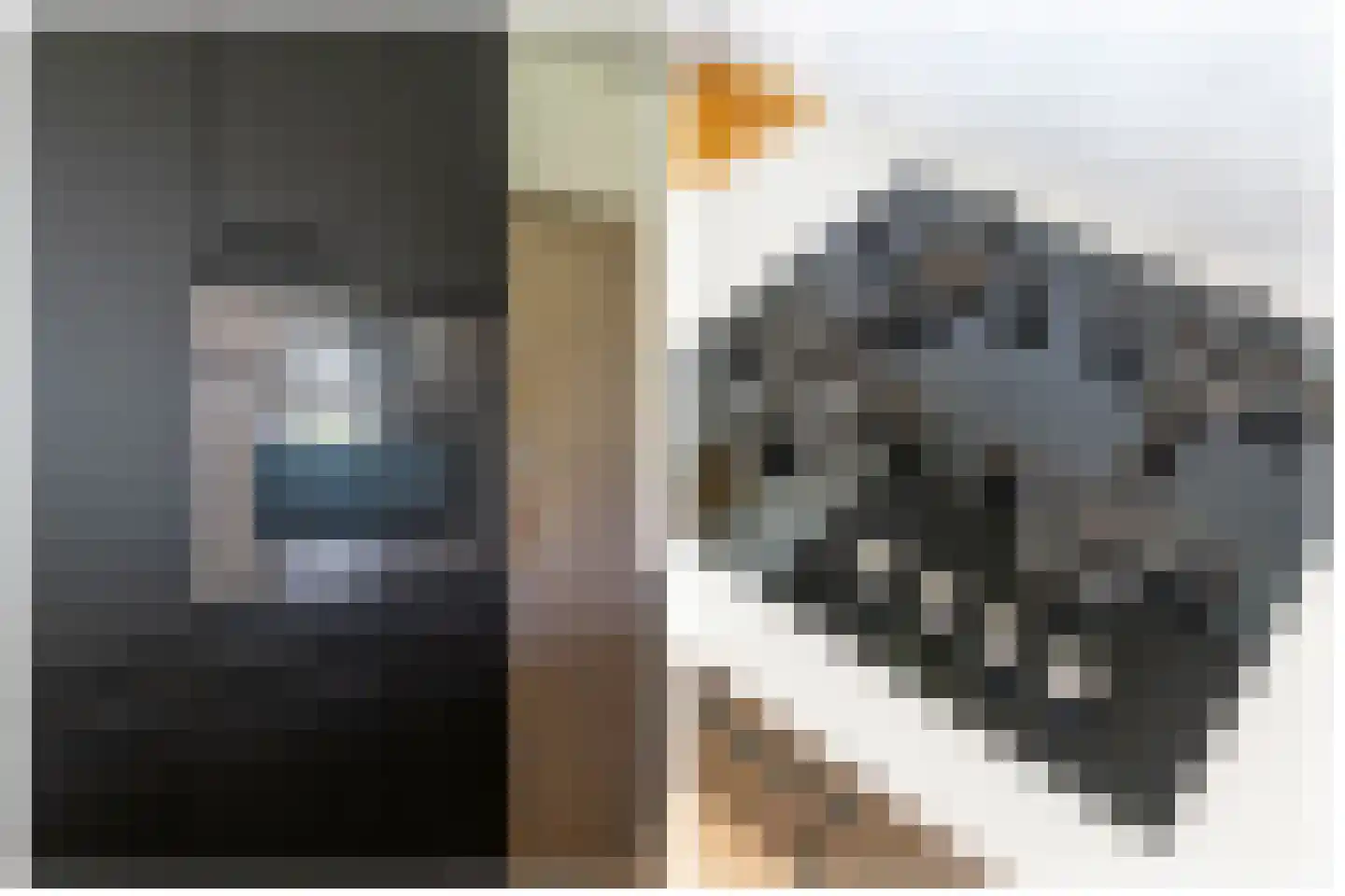 Paranádreef 69 Utrecht thumbnail 18