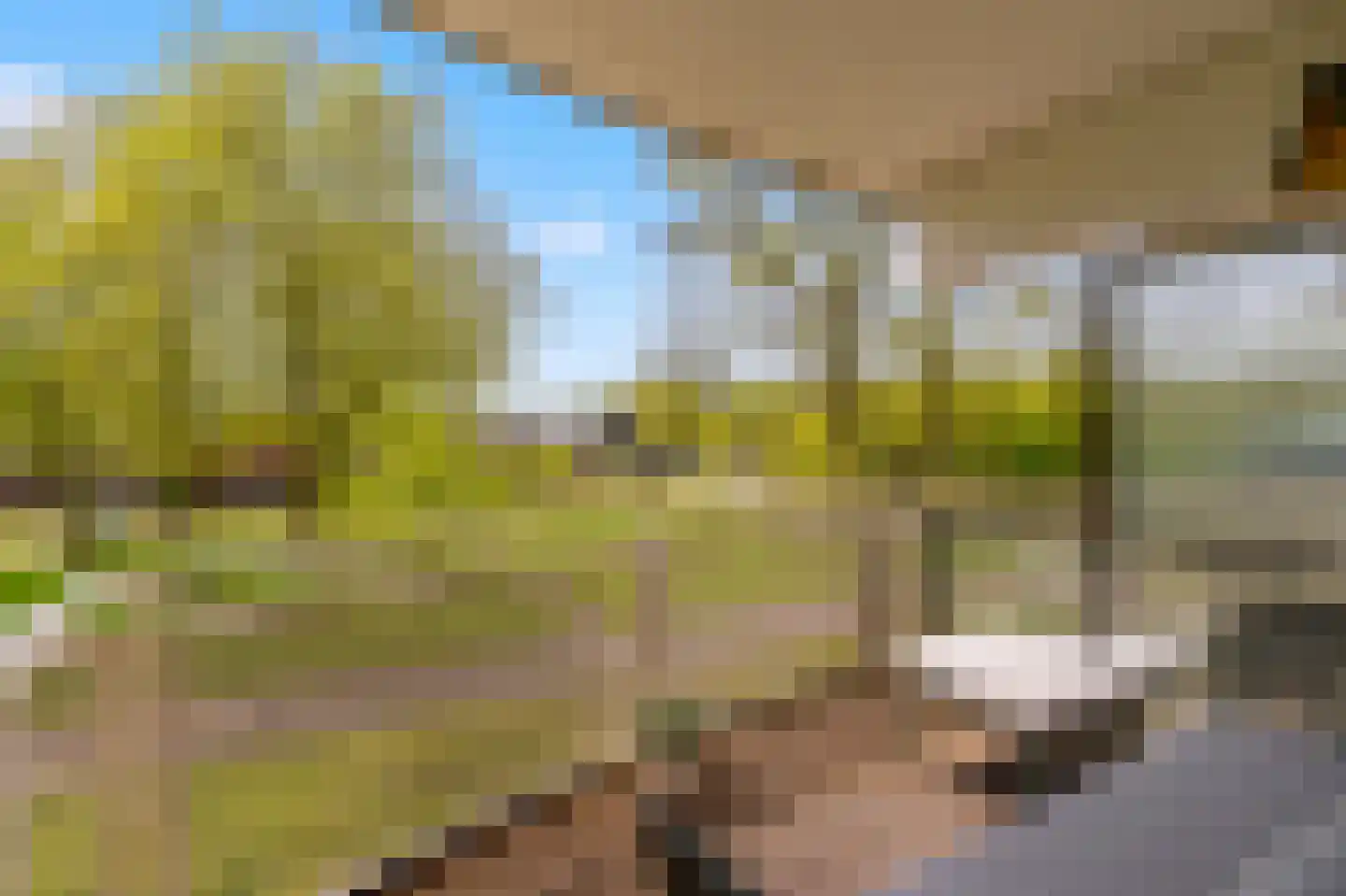 Paranádreef 69 Utrecht thumbnail 21
