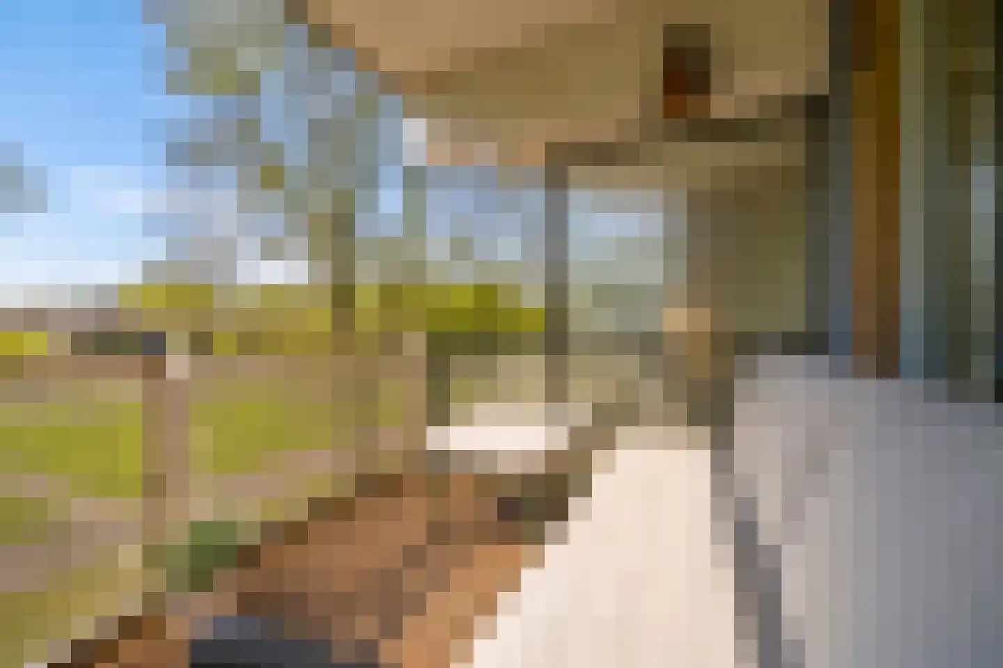 Paranádreef 69 Utrecht thumbnail 22