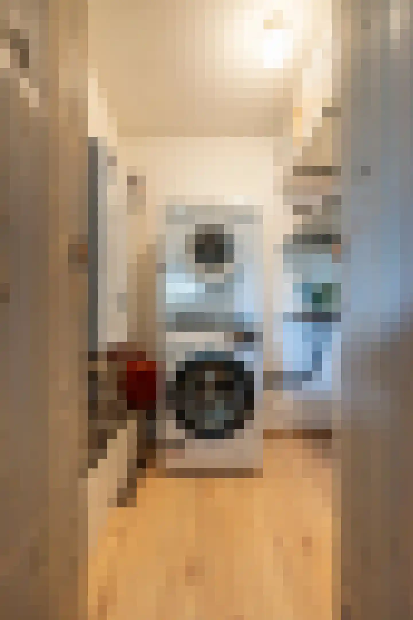 Paranádreef 69 Utrecht thumbnail 33