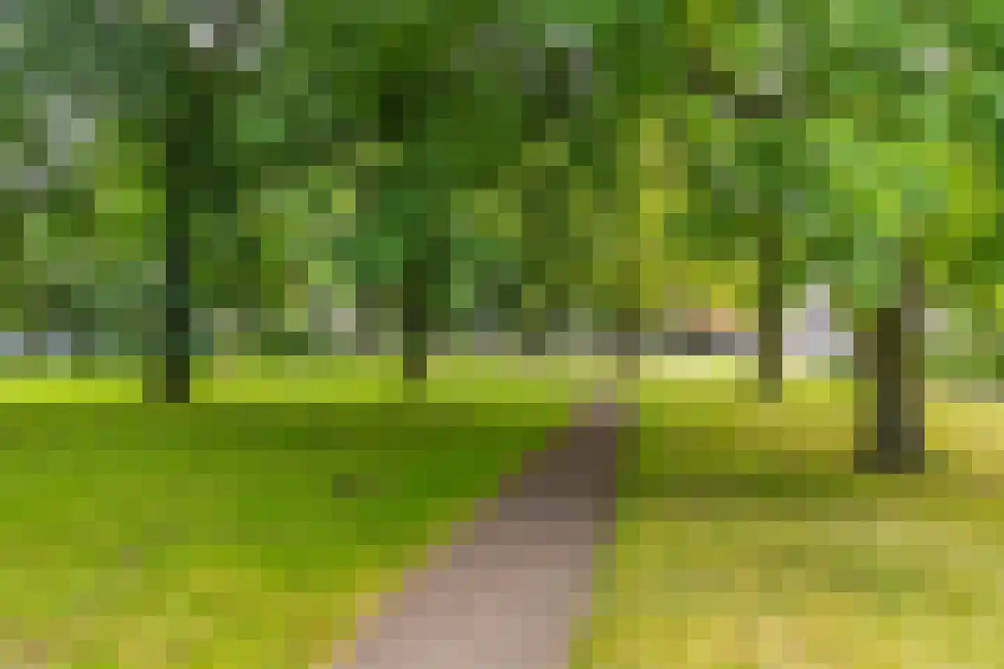 Paranádreef 69 Utrecht thumbnail 42