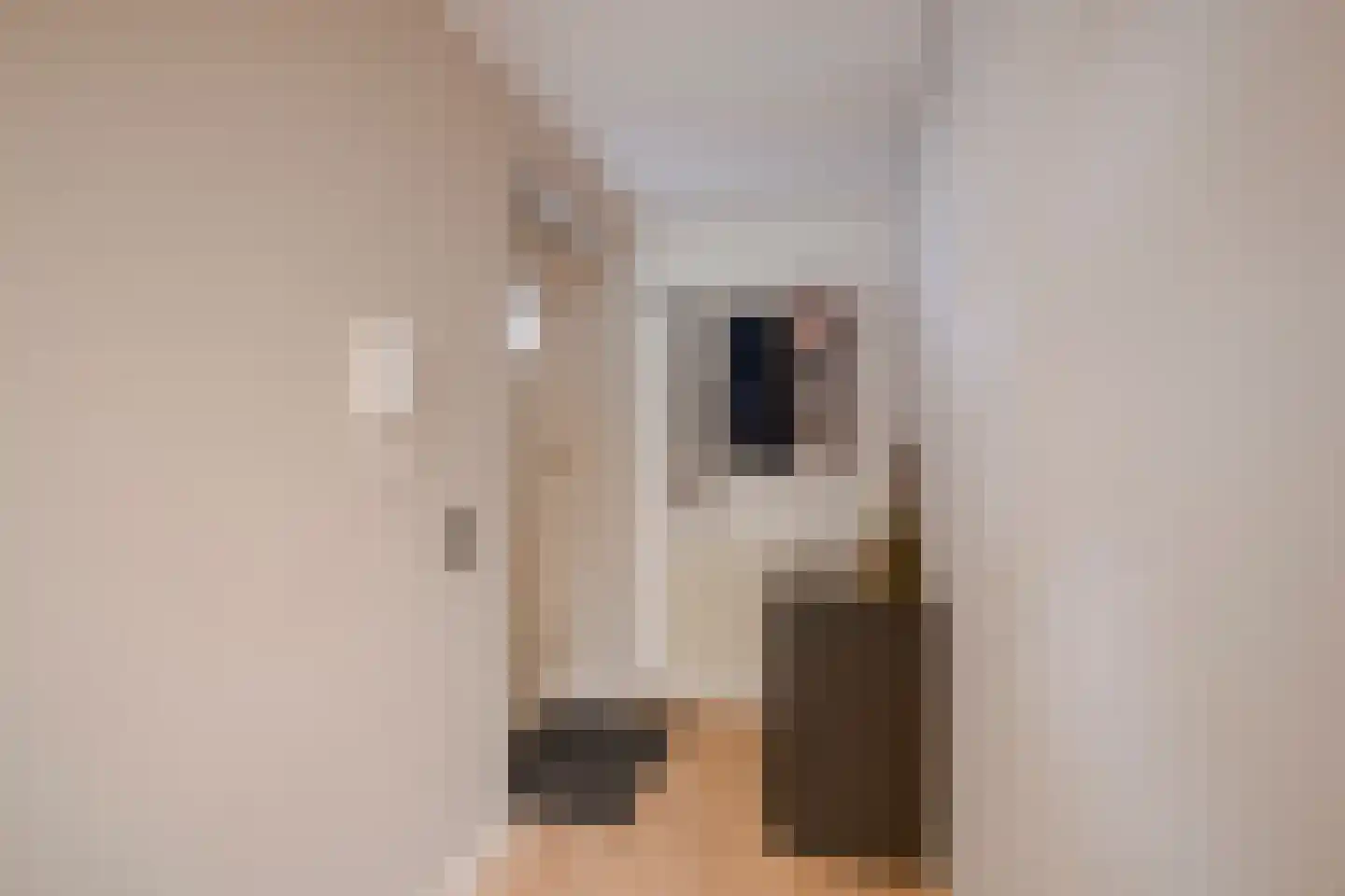 Paranádreef 69 Utrecht thumbnail 5