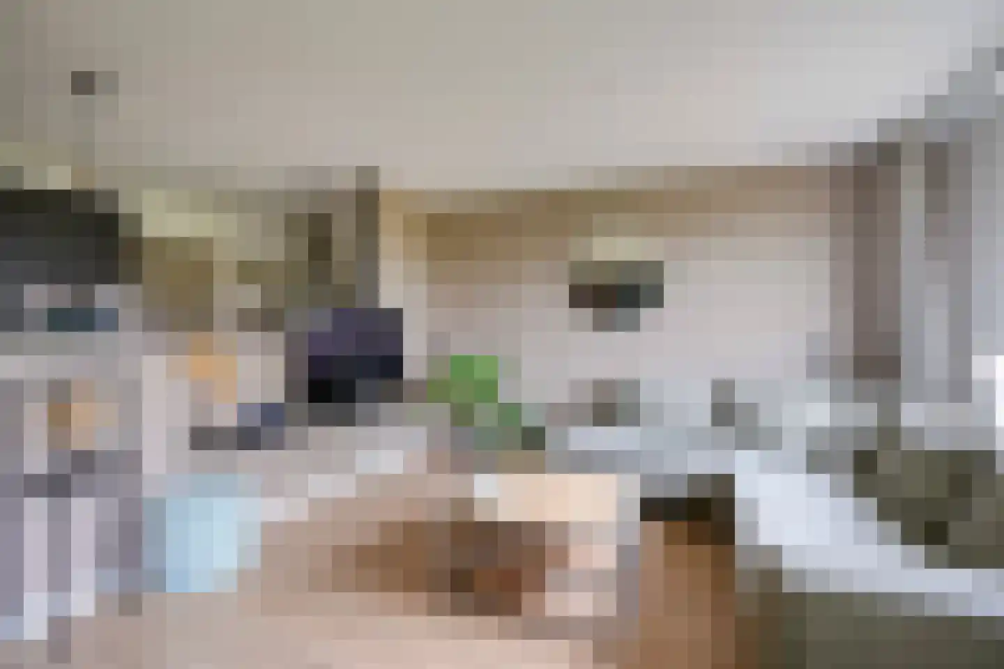 Paranádreef 69 Utrecht thumbnail 9