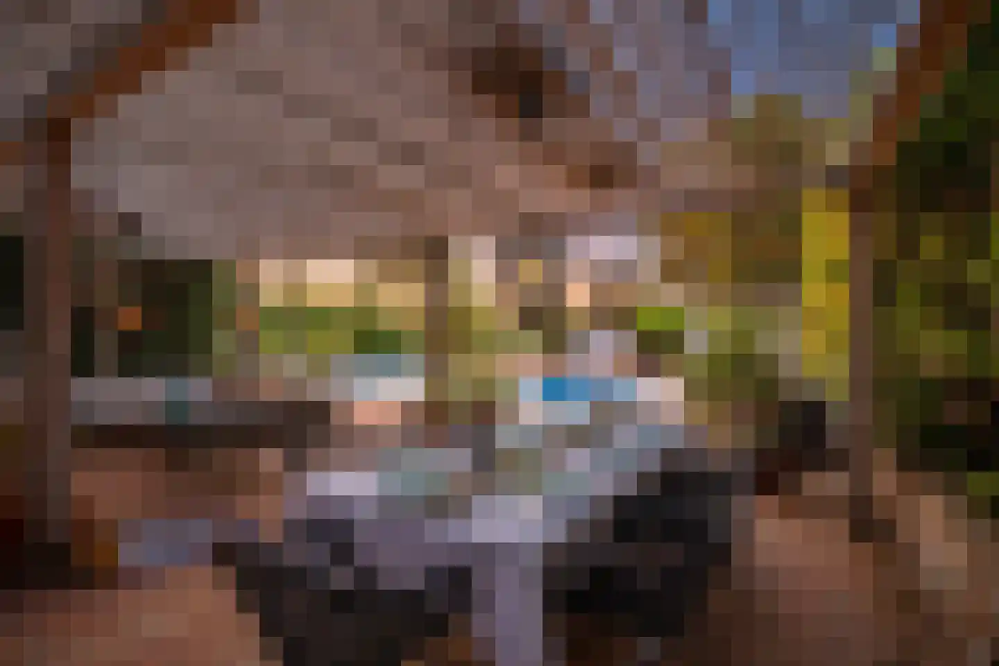 Parc de Zwijger 14 Wezep thumbnail 27
