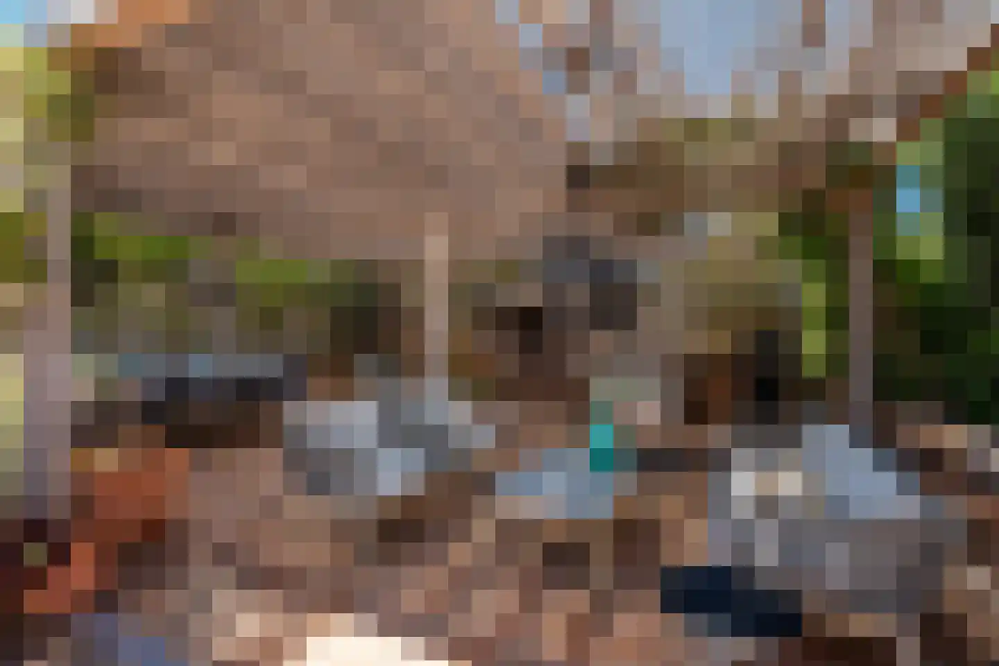 Parc de Zwijger 14 Wezep thumbnail 28
