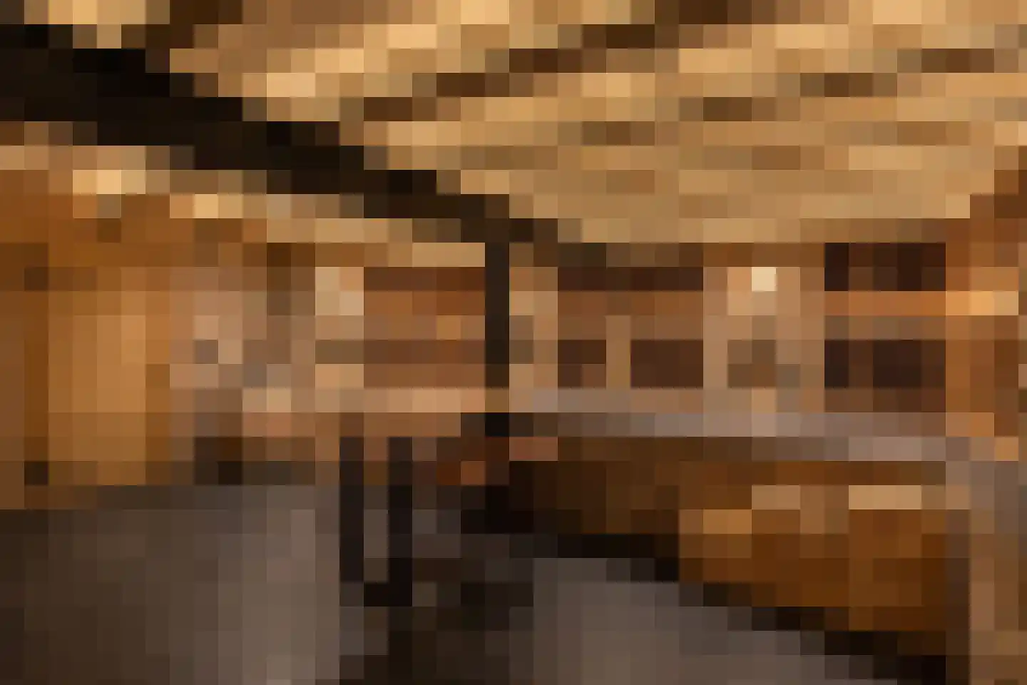 Parc de Zwijger 14 Wezep thumbnail 35