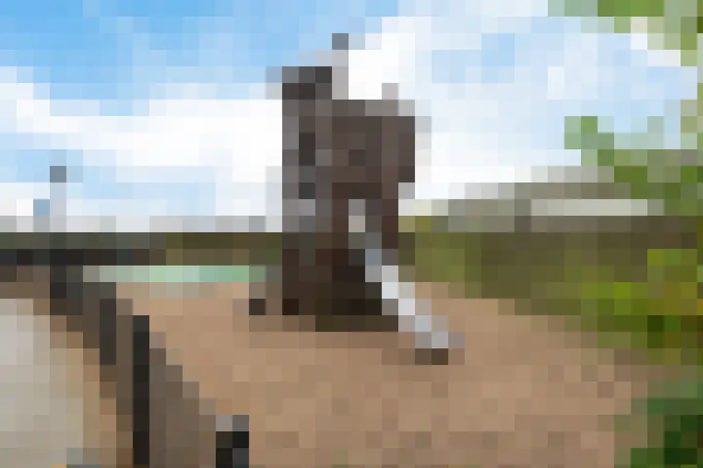 Parc du Soleil 115 A Noordwijk thumbnail 22