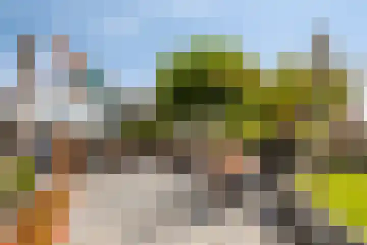 Parc du Soleil 158 Noordwijk thumbnail 35