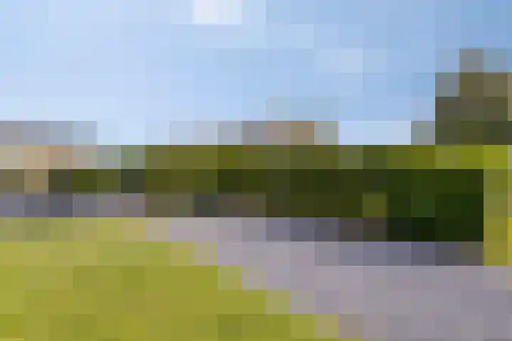 Parc du Soleil 158 Noordwijk thumbnail 4
