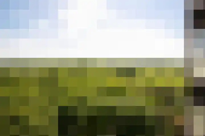Parc Imstenrade 165 Heerlen thumbnail 25