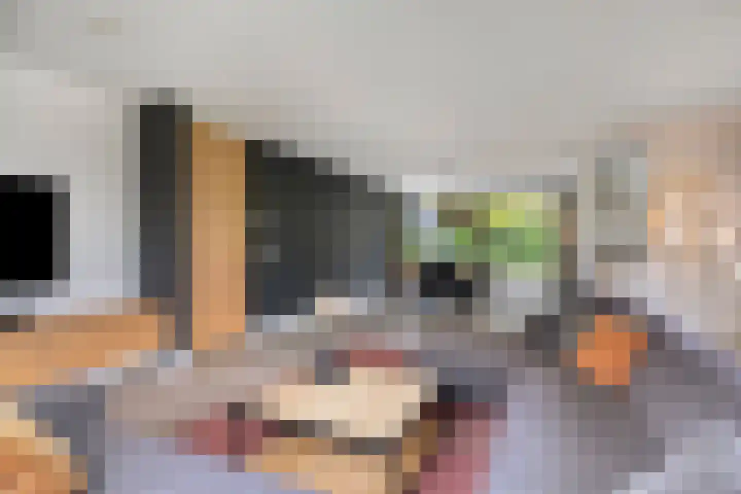 Parc Tichelt 4 Rijsbergen thumbnail 13