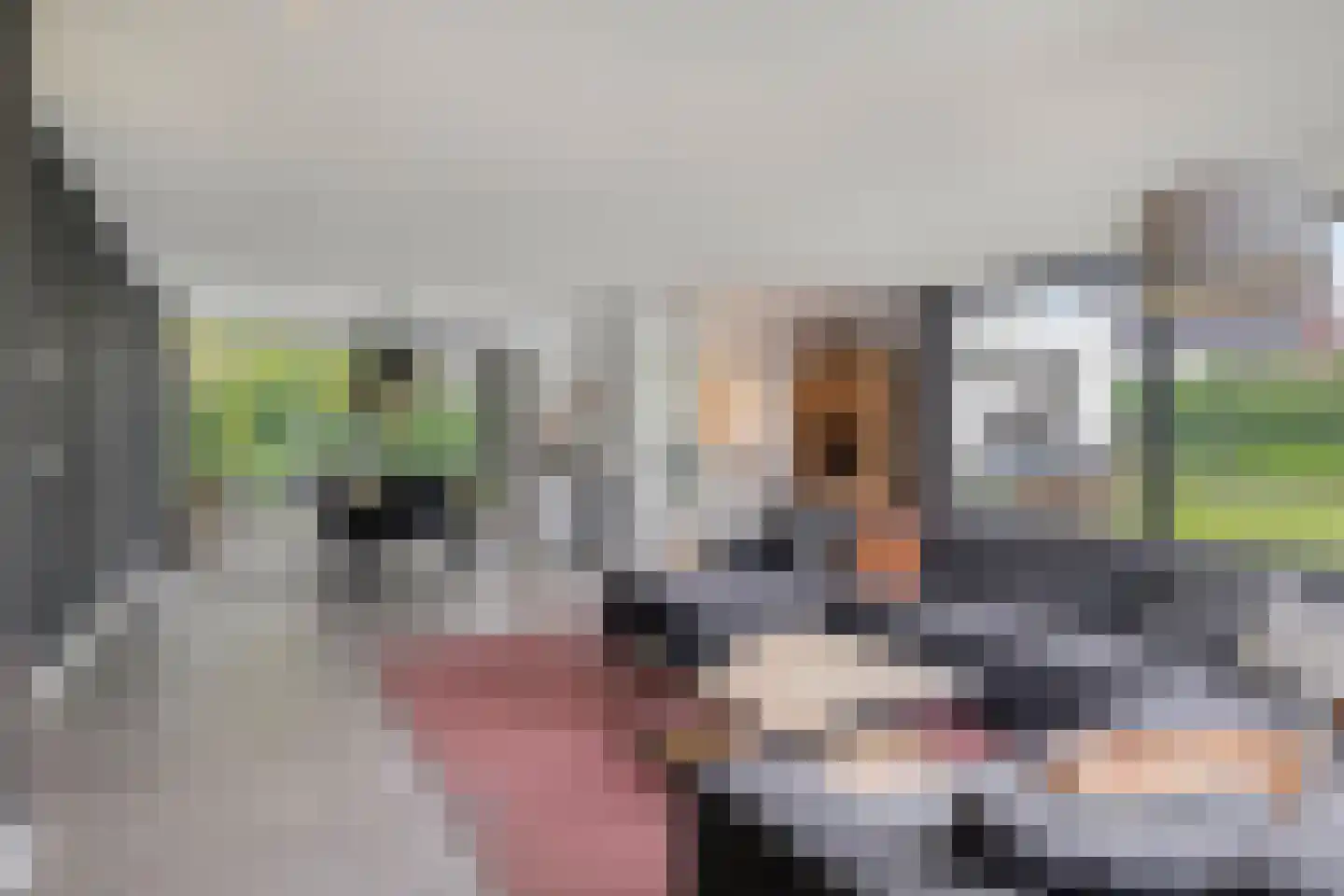 Parc Tichelt 4 Rijsbergen thumbnail 18