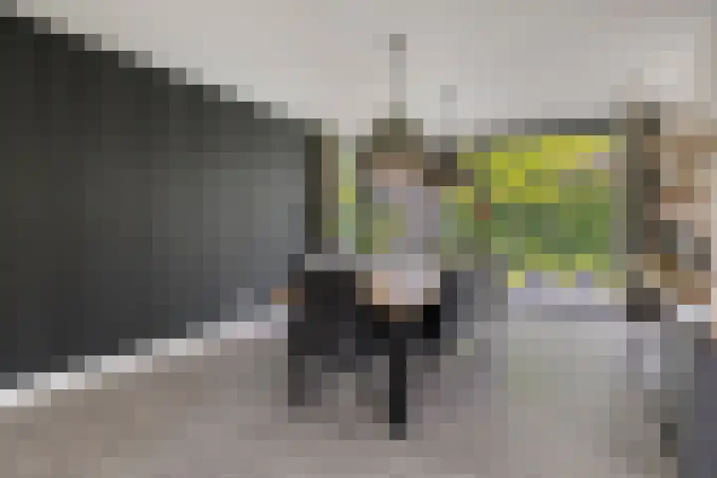 Parc Tichelt 4 Rijsbergen thumbnail 20