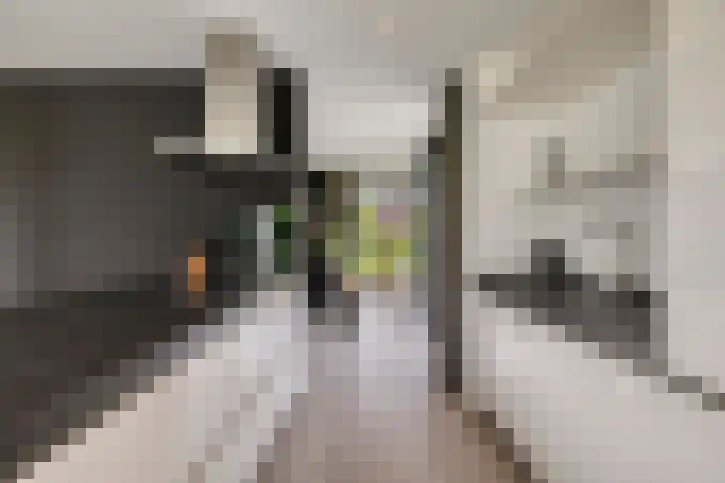 Parc Tichelt 4 Rijsbergen thumbnail 21