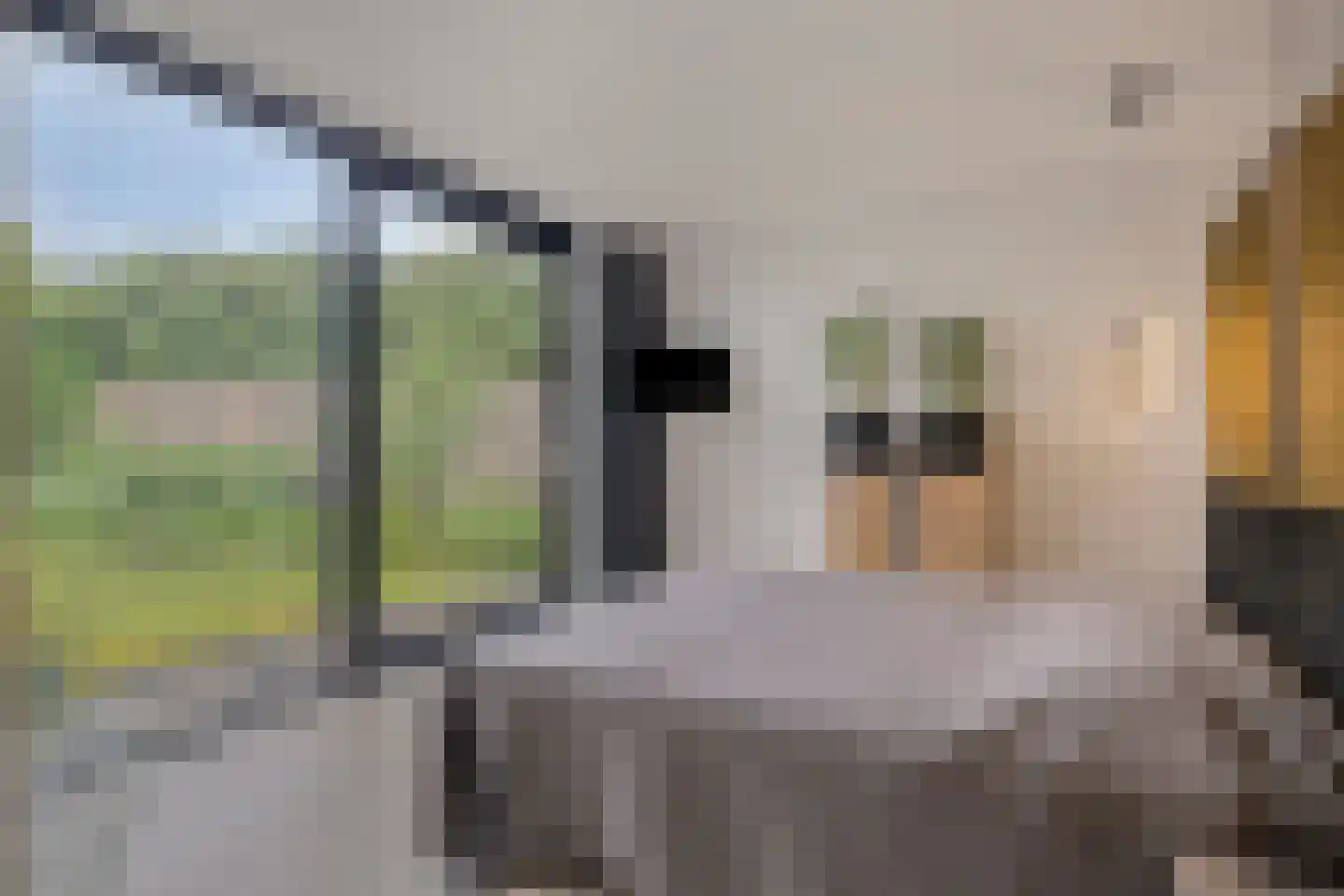 Parc Tichelt 4 Rijsbergen thumbnail 28