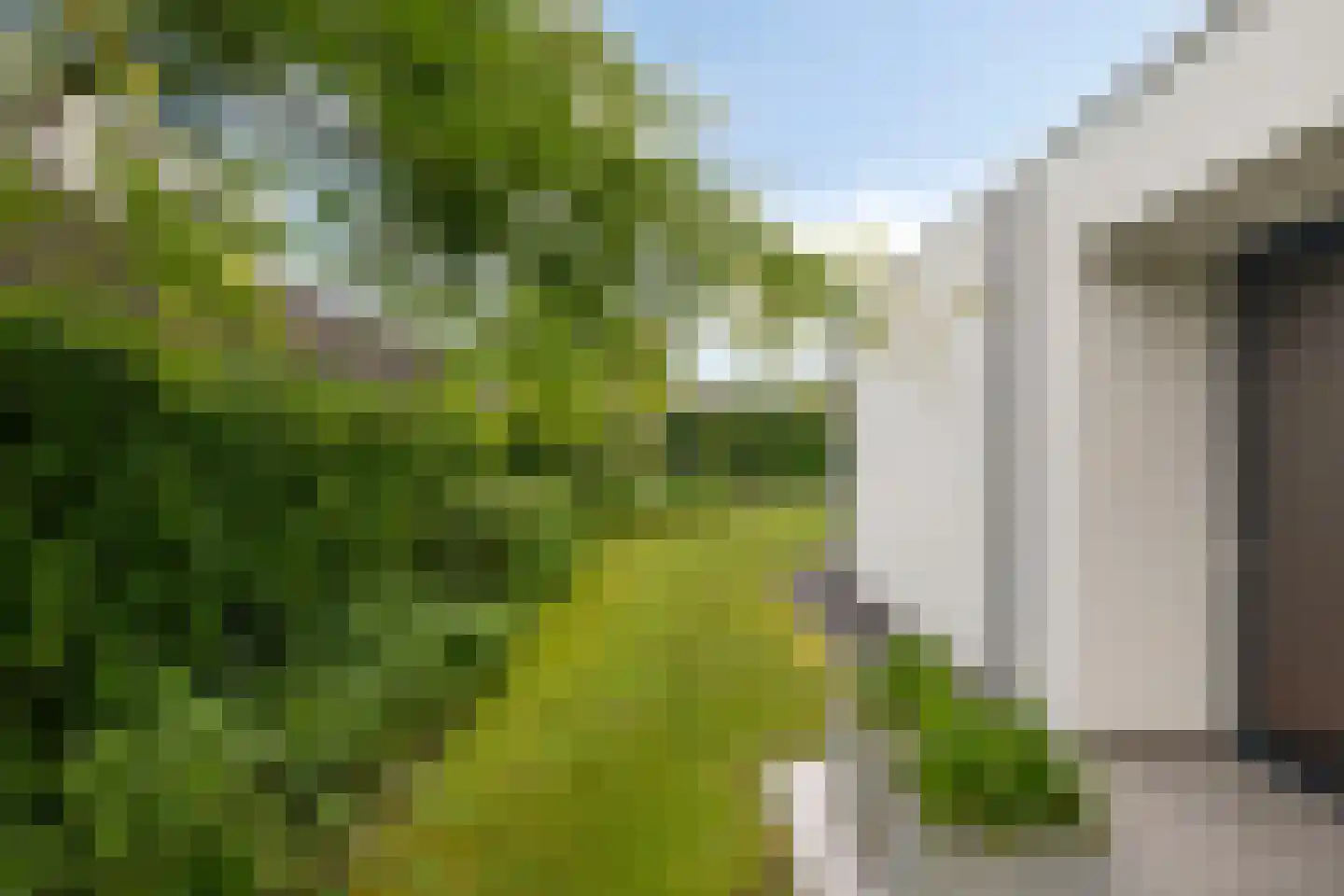 Parc Tichelt 4 Rijsbergen thumbnail 55