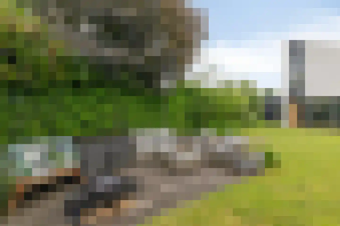 Parc Tichelt 4 Rijsbergen thumbnail 68