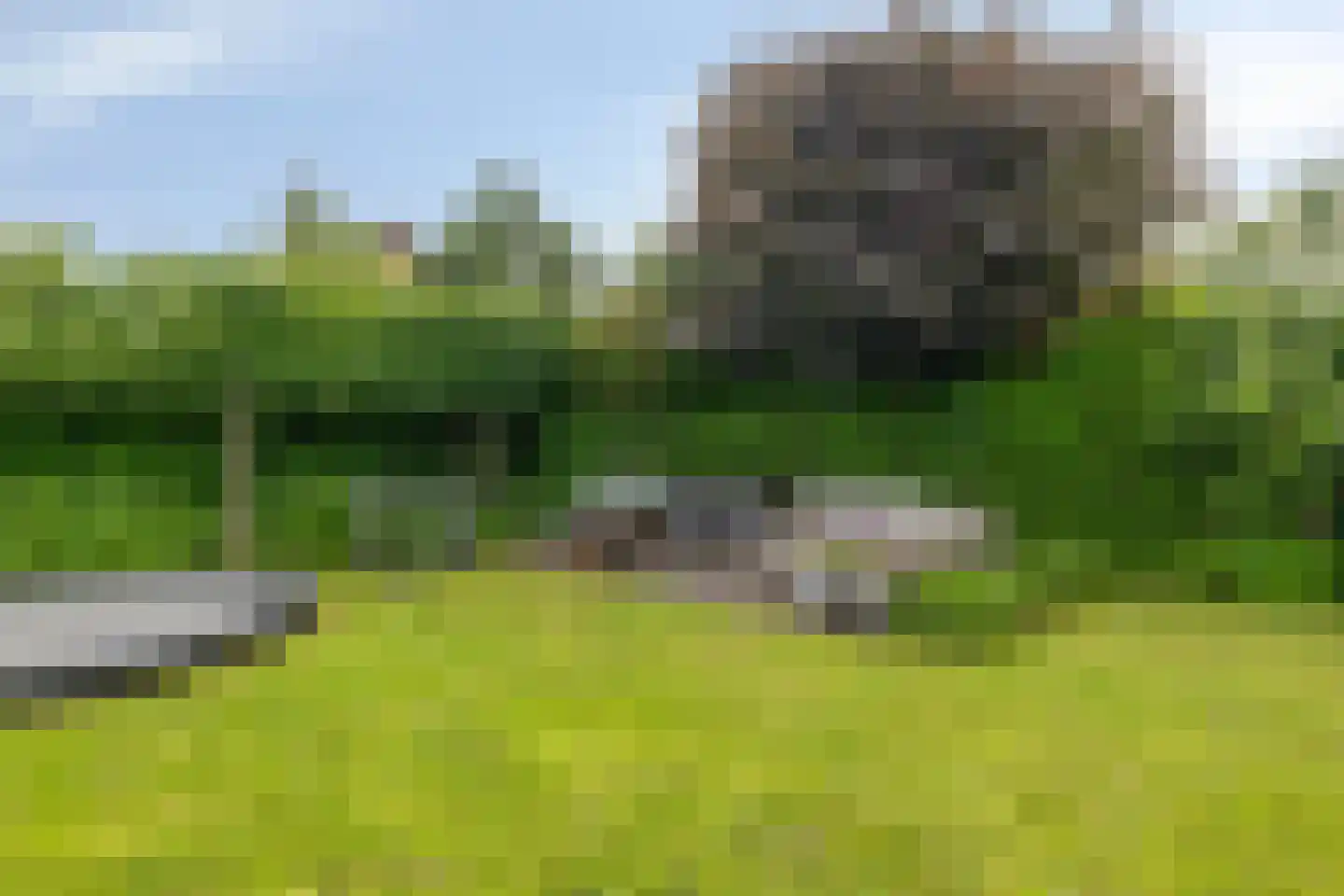 Parc Tichelt 4 Rijsbergen thumbnail 69