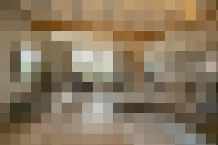 Parc Tichelt 5 Rijsbergen thumbnail 17