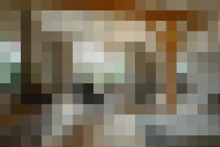 Parc Tichelt 5 Rijsbergen thumbnail 18