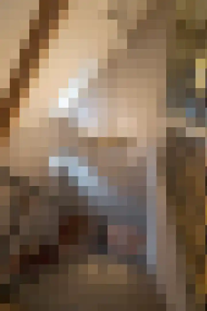 Parc Tichelt 5 Rijsbergen thumbnail 33