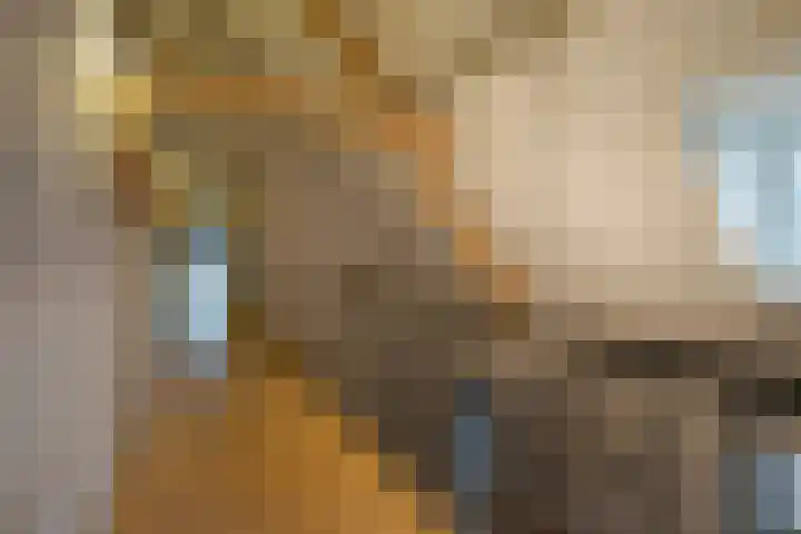 Parc Tichelt 5 Rijsbergen thumbnail 35
