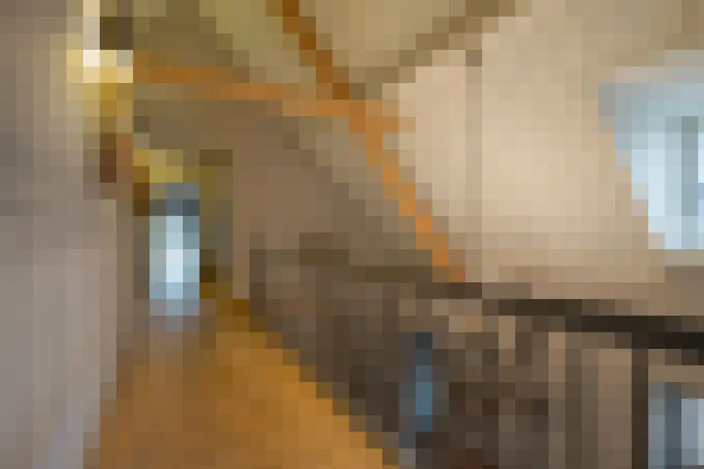 Parc Tichelt 5 Rijsbergen thumbnail 35
