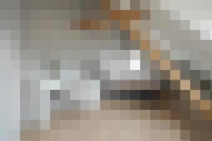 Parc Tichelt 5 Rijsbergen thumbnail 36