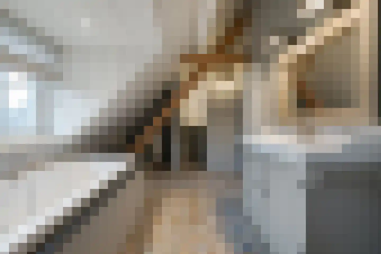 Parc Tichelt 5 Rijsbergen thumbnail 41