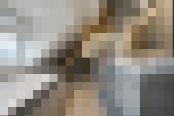 Parc Tichelt 5 Rijsbergen thumbnail 41