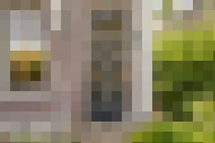 Parc Tichelt 5 Rijsbergen thumbnail 44