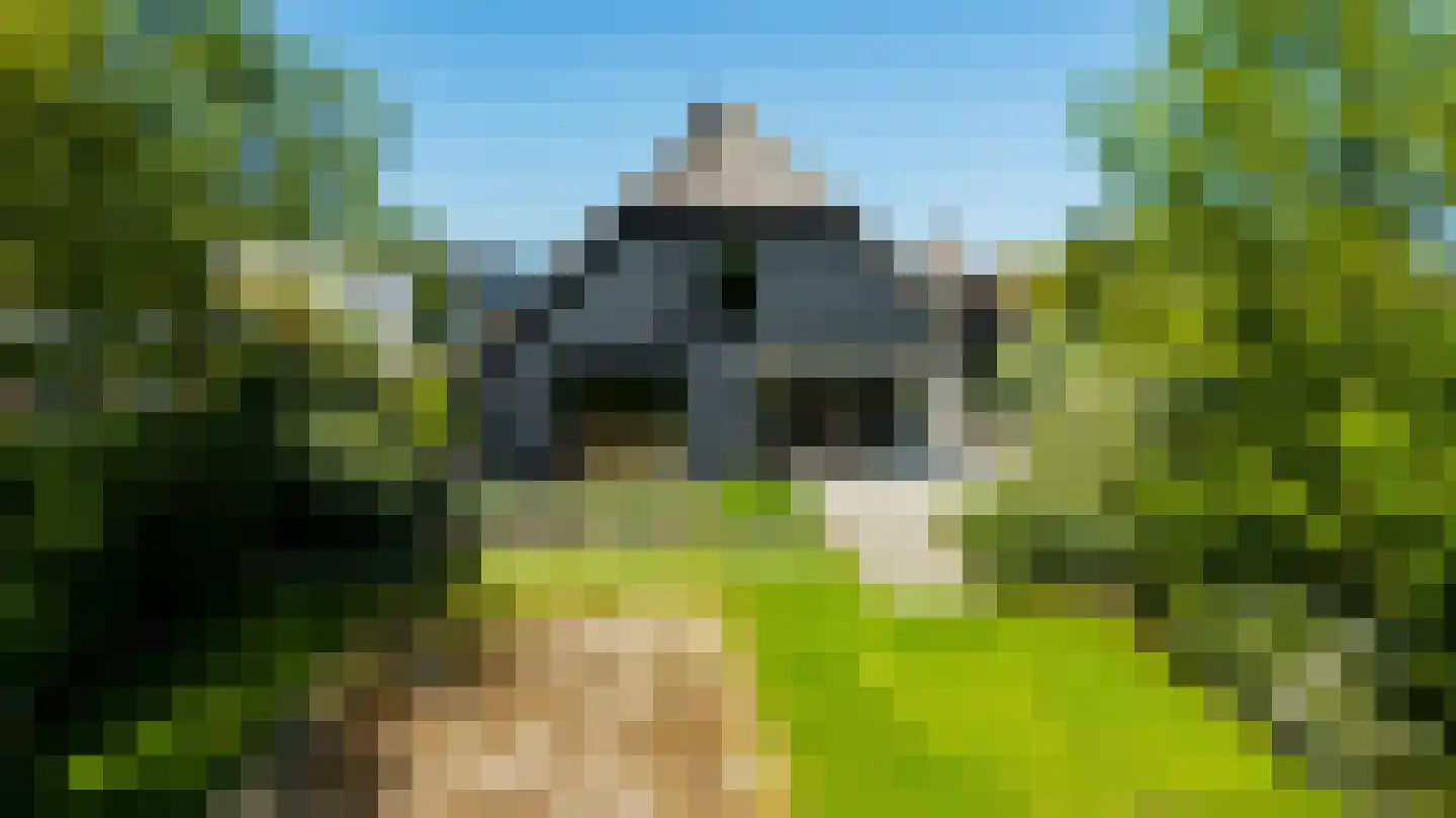 Parc Tichelt 5 Rijsbergen thumbnail 49