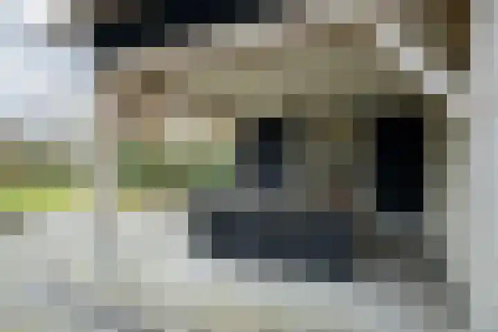Parc Tichelt 5 Rijsbergen thumbnail 52
