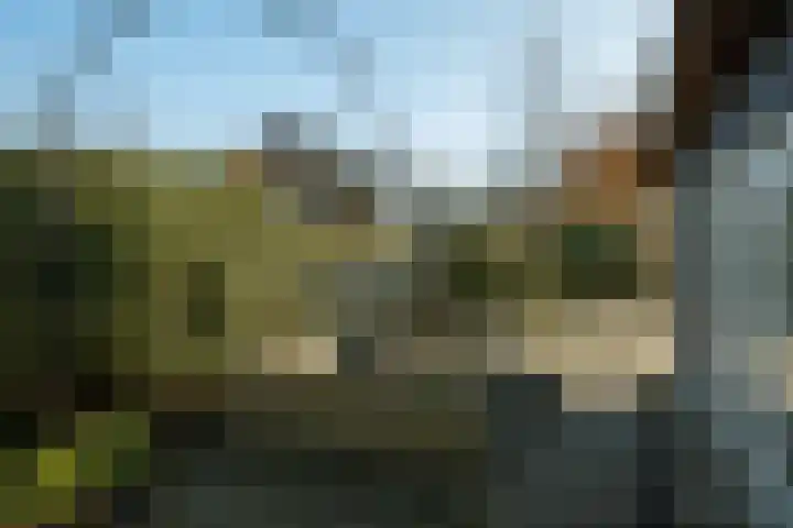 Parc Tichelt 5 Rijsbergen thumbnail 55