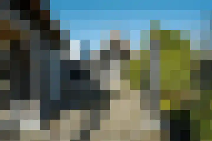 Parc Tichelt 5 Rijsbergen thumbnail 56