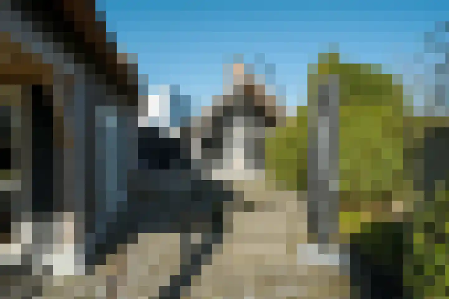 Parc Tichelt 5 Rijsbergen thumbnail 56